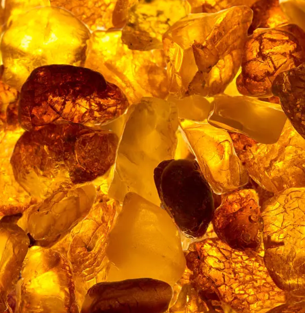 Golden Amber
