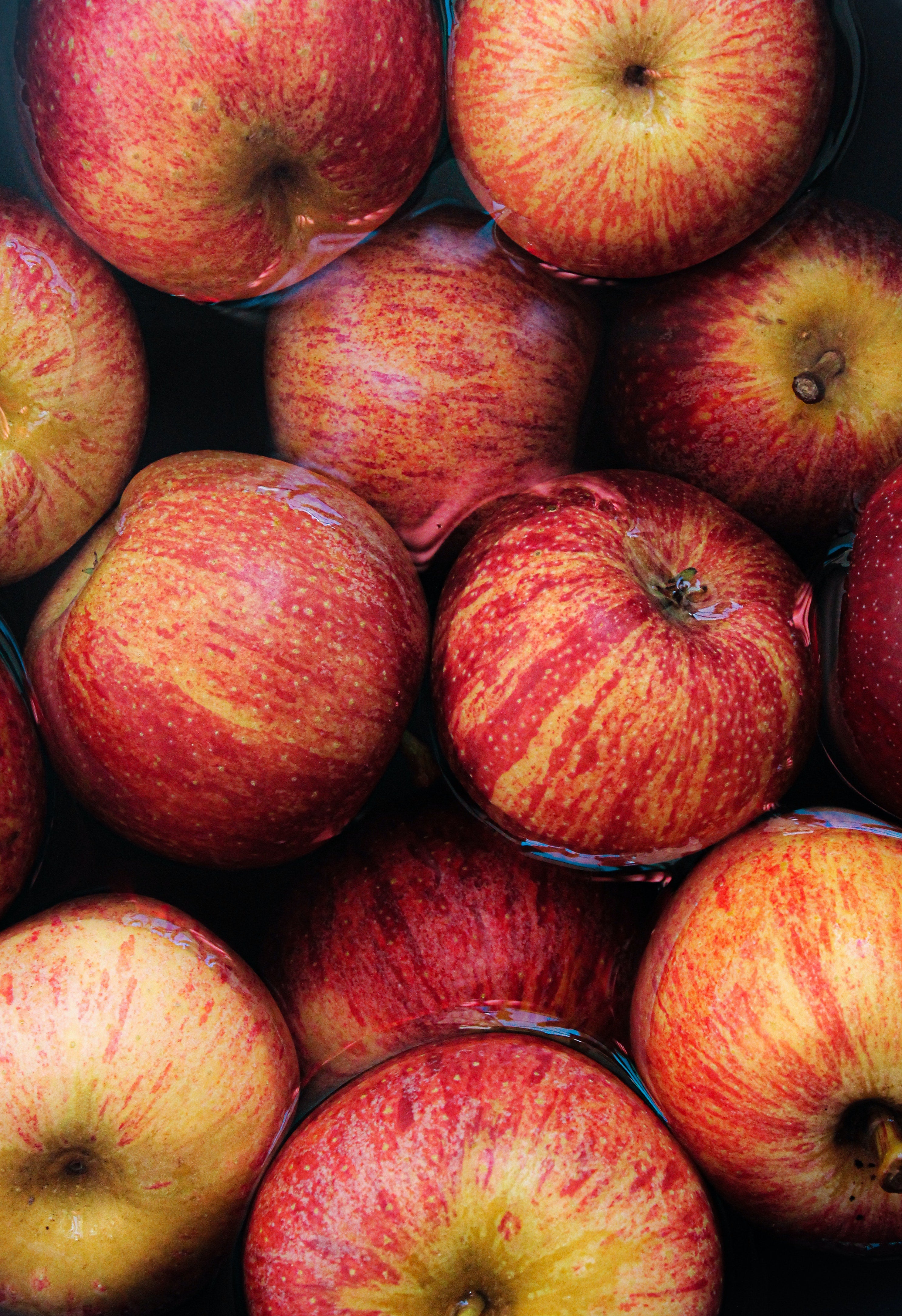 Apple Cider
